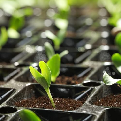 Seed Starting Soil Mix 10qt, Seed Starter Seedling Soil Ready to Use Suitable for Vegetable, Flower, Houseplant and Bonsai - Image 6