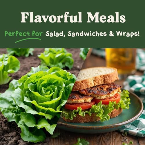 Organic Non-GMO Vegetable Seeds for Planting (Buttercrunch Lettuce) - Image 5