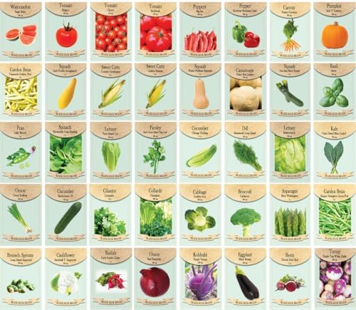 250 Packs Assorted Heirloom Vegetable Seeds 30+ Varieties All Seeds are Heirloom, 100% Non-GMO Thousands of Seeds (250 Vegetable Seed Packets) - Image 2