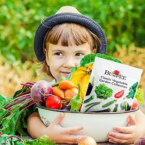 Burpee Heirloom Vegetable Seeds - 15,000+ Seeds - Beans, Beets, Cauliflower, Celery, Collards, Cucumber, Eggplant, Kale, Lettuce, Okra, Onion, Pea, Sweet Pepper, Radish, Squash, Tomato, Turnip - Image 4