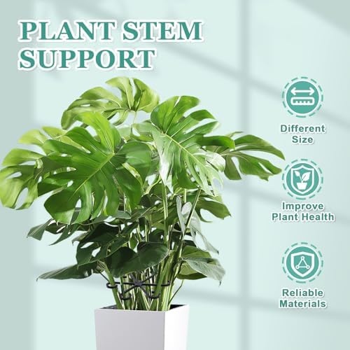 16pcs Plant Stem Support, Monstera Plant Support for Indoor Plants - Image 5