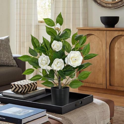 Small Artificial Camellia Roses Potted - 17.7" White Faux Camellia Rose Mini Tree Fake Flower Plant Artificial Plants & Flowers Indoor with Planter for Home Office Living Room Porch Arrangement Decor - Image 2