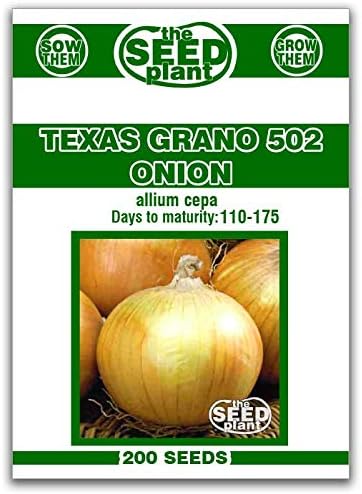 SVI 200 Texas Early Grano 502 Onion Seeds (Allium Cepa) - Short Day, Sweet & High Yield Variety, Non GMO, Heirloom Seed Packets - Vegetable Seeds for Outdoor & Indoor Vegetable Garden by SVI