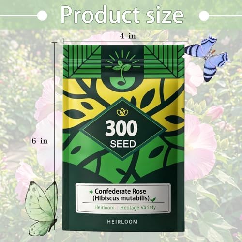 Confederate Rose Seeds, Color-Changing Hibiscus, White to Pink to Red Bloom - Image 7