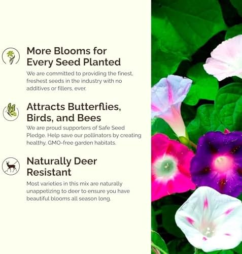 Eden Brothers Top O The Morning Flower Mixed Seeds for Planting, 1/4 lb, 120,000+ Seeds with Morning Glory, Moonflower | Attracts Pollinators, Plant in Spring or Fall, Zones 3, 4, 5, 6, 7, 8, 9, 10 - Image 4