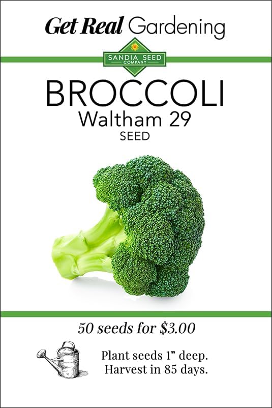 Broccoli Waltham 29 Seeds by SandiaSeedCompany