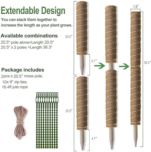 Fabulas Moss Pole 36 Inch - Monstera Plant Support, 2 Pack 20.5 Inch Plant Stakes for Indoor Plants Coco Coir Moss Pole Sticks for Climbing Potted Live Plants, Pothos, Philodendron, with Garden Ties - Image 6