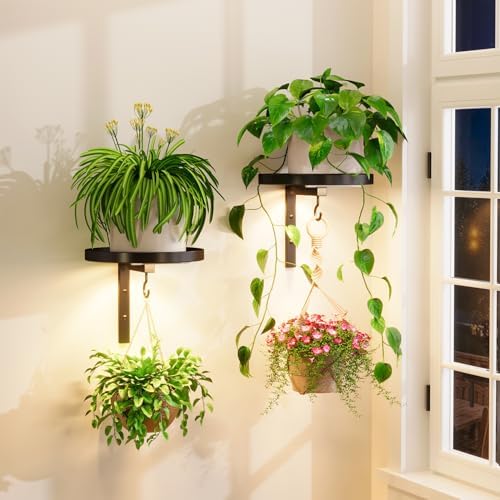 Plant Wall Hanger with Grow Lights Set of 2 for Indoor, Black by iDavosicly