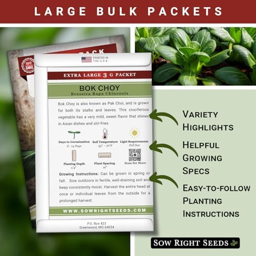Sow Right Seeds - 1200 Bok Choy Seed for Planting Bulk Jumbo Pack Pak Choi - Image 2