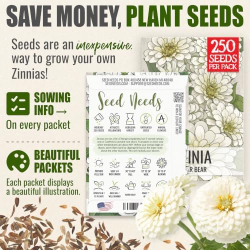 Seed Needs Polar Bear Zinnia Seeds to Plant Cut Flowers - 2 Packs - Image 3
