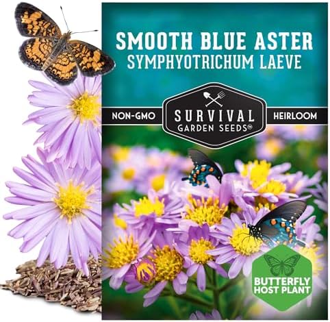 Smooth Blue Aster Seeds for Planting, Symphyotrichum laeve (2 Pack) - Image 5