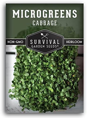 Cabbage Microgreen Seeds for Sprouting - 1 Pack by SurvivalGardenSeeds
