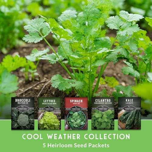 Cool Weather Garden Seeds Collection - Survival Garden Seeds - Image 3
