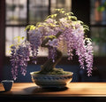 Weeping Wisteria Bonsai Tree Seeds for Planting – 10 Seeds | Cascading Purple Blooms | Outdoor Flowering Bonsai | Fast-Growing Vine Tree for Pots, Patios & Gardens by CZGrain