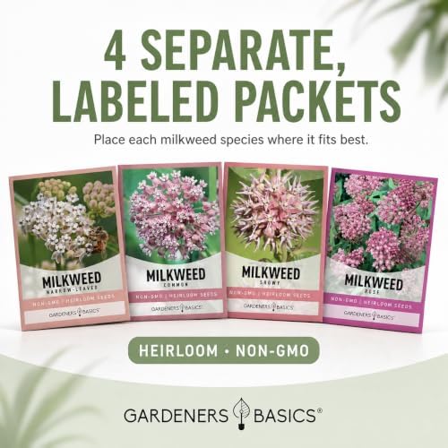 Gardeners Basics Milkweed Seeds for Monarch Butterflies, 4 Native Varieties - Image 3