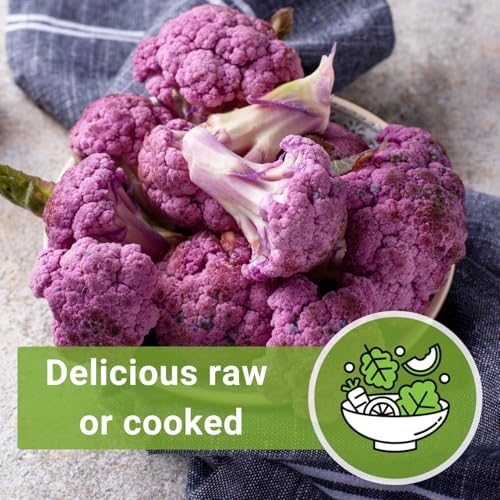 Sow Right Seeds - Di Sicilia Violetto Cauliflower Seed for Planting Garden - Image 6