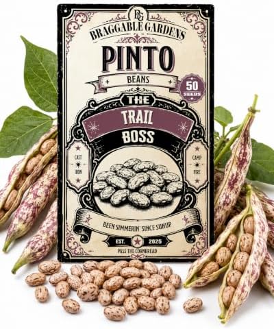 Pinto Bean Seeds for Planting, Heirloom Dry Bean Vegetable Seeds, Creamy Flavorful Beans for Soups, Chili, Refried Beans, Slow-Simmered Recipes and Pantry Storage by BraggableGardens