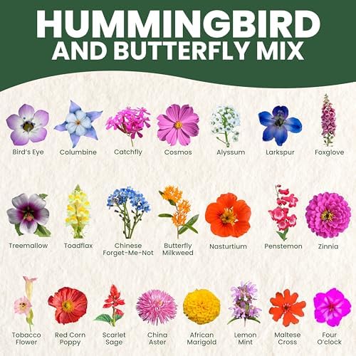 Hummingbird Butterfly Mix - Bulk 1/4 Pound Pouch - 30,000 Flower Seeds for Planting - Wildflower Mix - Image 3