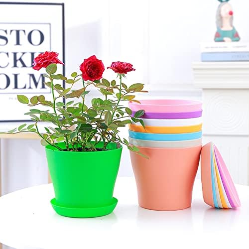 Tergy 50 Pack 4 Inch Plant Pots Bulk Small Plastic Planters Pots with Drainage Holes Flower Pot for Succulent, Cactus, Herb, African Violet (50pcs-Multicolor, 4Inches) - Image 6