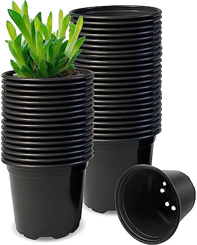 RAOOKIF 50 Pack Nursery Pots, 3 Inch Nursery Pot for Plants, Small Plastic Plant Pots with Drainage Holes, Garden Flower Pots for Transplanting, Succulents, Cuttings, Seedlings(3inch,50pcs) by RAOOKIF