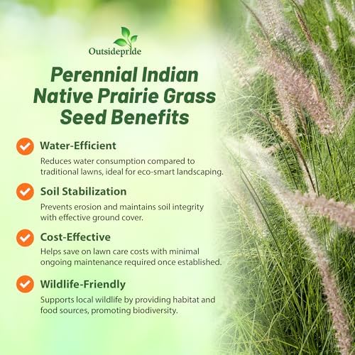 Outsidepride Indian Native Grass Seed - 1 lb. Perennial, Low Maintenance, Drought-Tolerant Prairie Grass Seed for Wildlife Habitat, Livestock Forage, Ornamental Landscaping & Erosion Control - Image 4