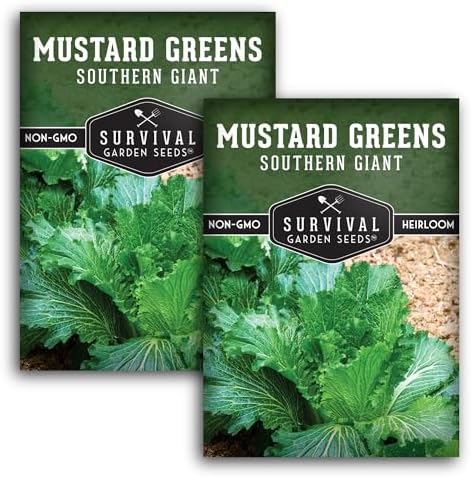Southern Giant Mustard Green Seeds for Planting - 2 Packs by SurvivalGardenSeeds