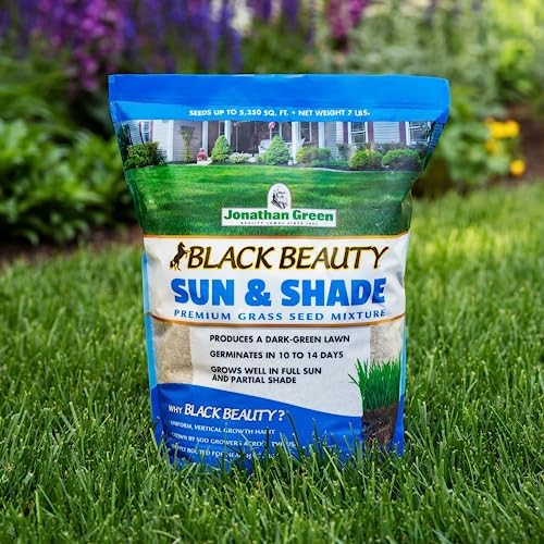 Jonathan Green Black Beauty Sun & Shade Grass Seed - 25 lb - Image 3
