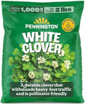 Pennington White Clover Seeds for Lawn, 2 lb by Pennington