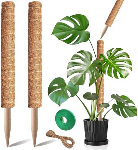 Moss Pole, 2Pack 21 Inch Plant Support Stakes for Indoor Plants, Monstera Plant Support Stakes, 37 Inch Tall Coir Plant Pole Sticks for Potted Plants, Pothos, Philodendron by PLANTPOLEX