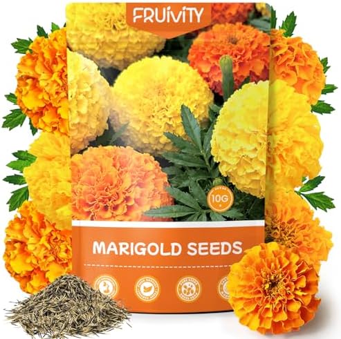 Petite Heirloom French Marigold Seeds for Planting, 400+ Flower Seeds Perennial Seed Packet,Home and Garden Easy to Grow, Indoor & Outdoor Gardening, Companion Plant & Quick Blooming by Fruivity