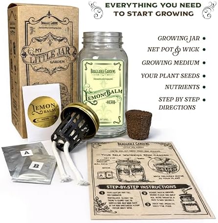 Chef’s Herb Garden Mason Jar Grow Kit (3 Pack) – Tuscan Blue Rosemary, Greek Basil & Lemon Balm – Indoor Hydroponic Herb Growing Kit – Windowsill Kitchen Herb Garden - Image 3