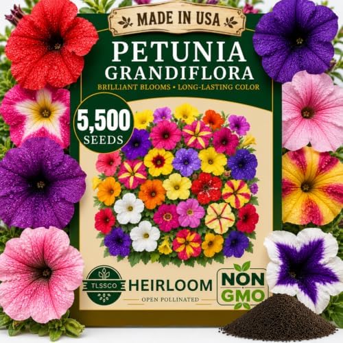 Petunia Seeds for Planting, 5500+ Seeds, Petunia Grandiflora by Unknown