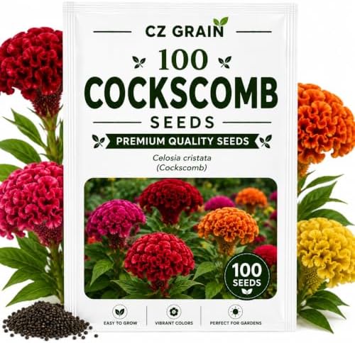 Cockscomb Seeds for Planting | 100 Seeds | Colorful Celosia Flowers by CZGrain
