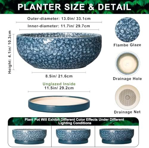 Bonsai Pots 13 Inch, Ceramic Succulent Planter with Tray, Scale Blue - Image 2