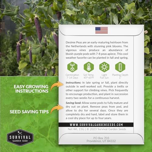 Desiree Purple Podded Pea Seeds for Planting - 2 Packs - Image 2