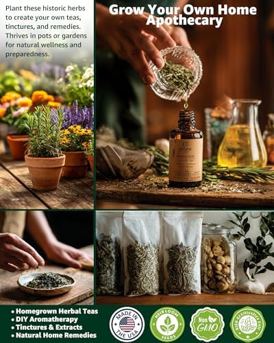 36 Medicinal Herb Seeds Variety Pack, Non-GMO Herbal Tea Garden Seeds - Image 3