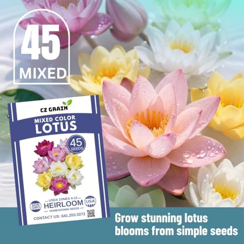 Lotus Seeds for Planting – 45 Pack Water Lotus Flower Seeds, Grow in Bowl, Koi Pond or Container, Easy Aquatic Bonsai Plants, Water Garden Flowers, Fast Sprouting, Beginner Friendly - Image 2
