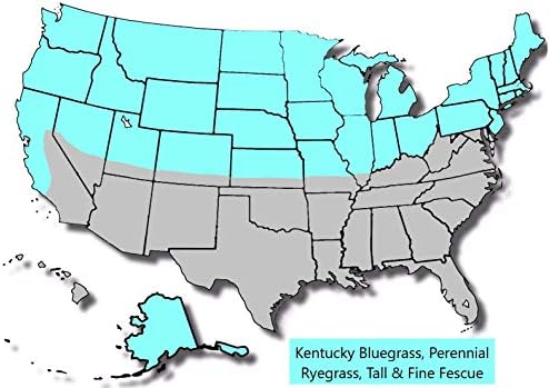 Burlingham Seeds Blue Magic Overseed Mix | 70percent Kentucky Bluegrass 30percent Perennial Ryegrass | Blue TAG Certified Grass Seed (50 lbs (20,000 sq ft)), Brown - Image 4