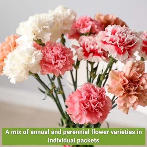 Sow Right Seeds - Large Flower Seed Collection for Planting Home Garden - Image 4