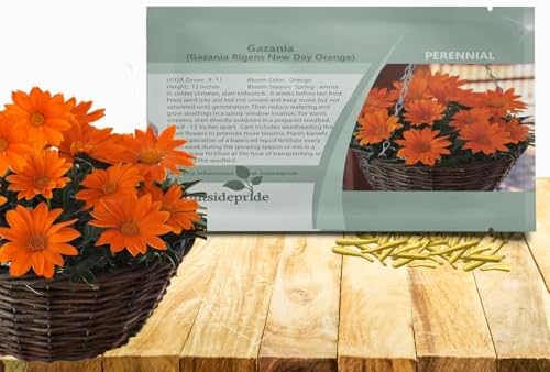 Outsidepride New Day Orange Gazania Seeds for Planting – 50 Pcs Perennial, Low-Maintenance, Drought-Tolerant Ground Cover Seeds for Vibrant Summer & Fall Flowers, Great for Outdoor Gardens by Outsidepride