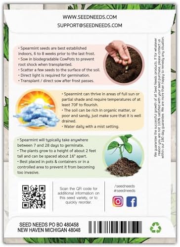 Seed Needs Spearmint Seeds to Plant an Herb Garden - 1 Pack - Image 2