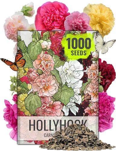 Seed Needs Flower Seeds to Plant Carnival Hollyhock Mix - Bulk Pack by SeedNeeds