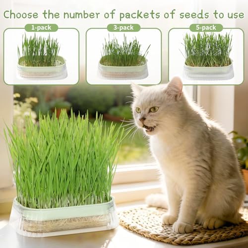 Hydroponic Cat Grass Grow Kit with 5Pack Non GMO Seeds, Organic Grass Growing Kit, Cat Grass for Indoor Cats, Soil-Free Planter, Perfect for Beginners, Ideal Birthday Gift for Cat Lovers - Image 3