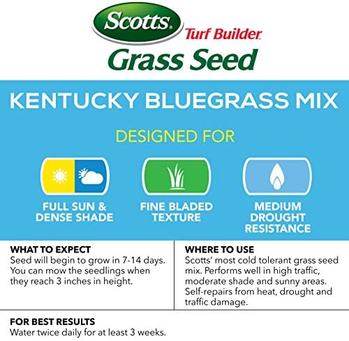 Scotts Turf Builder Grass Seed Kentucky Bluegrass Mix - 7 lb., Use in Full Sun, Light Shade, Fine Bladed Texture, and Medium Drought Resistance, Seeds up to 4,660 sq. ft. - Image 2