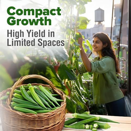 HOME GROWN Clemson Spineless Okra Seeds, 202+ Seeds, Abelmoschus esculentus - Image 5