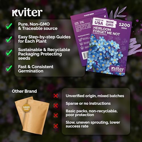 1200 Forget Me Not Heirloom Flower Seeds for Planting, Myosotis Sylvatica - Image 5