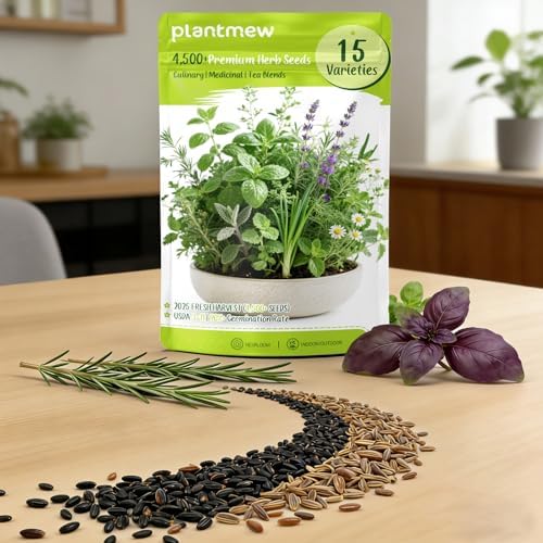 Herb Seeds 15-Pack – 4,500+ Heirloom Seeds for Planting – Indoor & Outdoor Herb Garden Kit with Basil, Cilantro, Rosemary, Thyme, Dill, Sage – Medicinal & Culinary Herb Seeds Variety Pack - Image 3