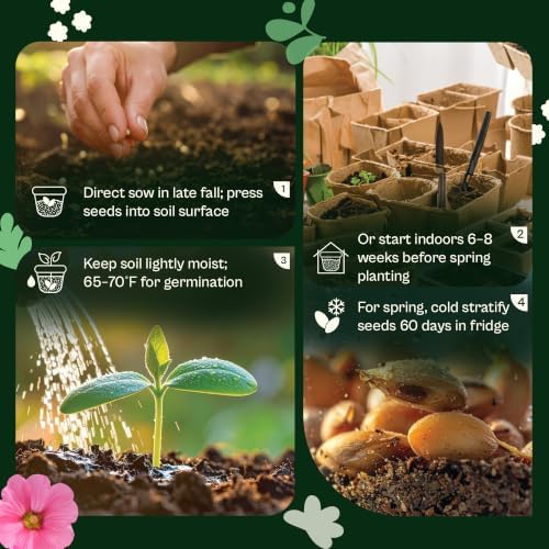 SVI 300 Marsh Blazing Star Seeds (Liatris spicata) – Heirloom Gayfeather Seed Packets – Purple Wildflower Seed, Pollinator Cut Perennial Flower Seeds Packets for Outdoor Garden Flower Garden - Image 5