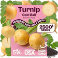 SVI 2500 Gold Ball Turnip Heirloom Vegetable Seeds Brassica rapa Non GMO by SVI