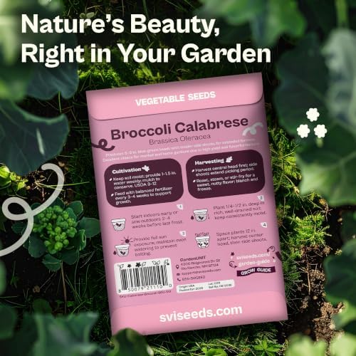 SVI 800 Calabrese Broccoli Seeds for Sprouting (Brassica oleracea VAR. capitata) - Green Broccoli Sprouts Seed Packets - Non-GMO Heirloom Vegetable Seeds for Planting Outdoors & Indoors Garden - Image 2